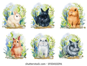 Fluffy bunny. Spring cute rabbit on the grass, watercolor illustration