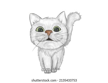 animated cat