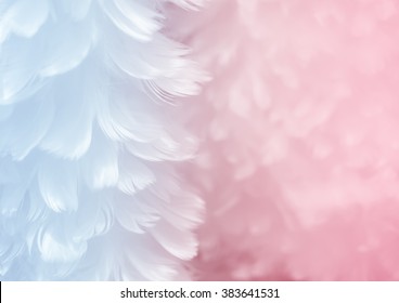 Fluffy elegant serenity blue feather on rose quartz pink soft focused background - Fashion Color Trends Spring Summer 2016 and Color of the Year