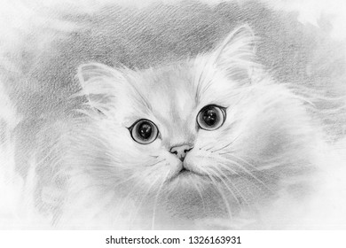 Fluffy White Cat Pencil Drawing Wool Stock Illustration 1326163931