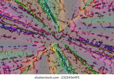 Fluorescent Stained Plant Cell Composition