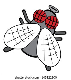 fly