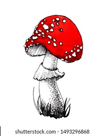 fly agaric hand  drawn in black   white and red hat  forest poisonous mushroom isolated white background for printing 