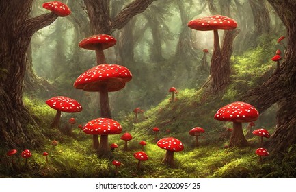 Fly agaric mushrooms grow