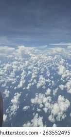 fly in the blue sky