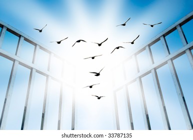 fly for freedom, overcome the difficult gate