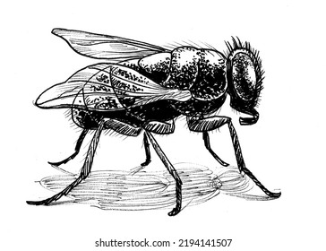 512 Housefly Outline Images, Stock Photos & Vectors | Shutterstock