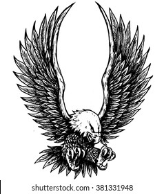 Flying Bald Eagle illustration