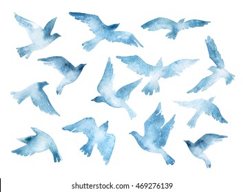 Flying bird silhouettes with watercolor texture isolated on white background. Hand painted natural illustration