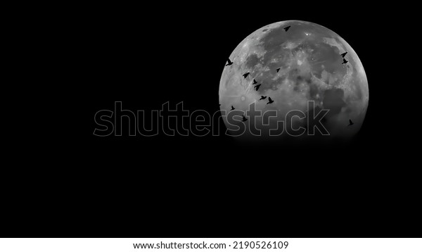 Flying\
birds with moon light isolated on black\
background
