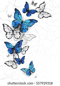 Flying Blue morpho   white butterflies light abstract background 