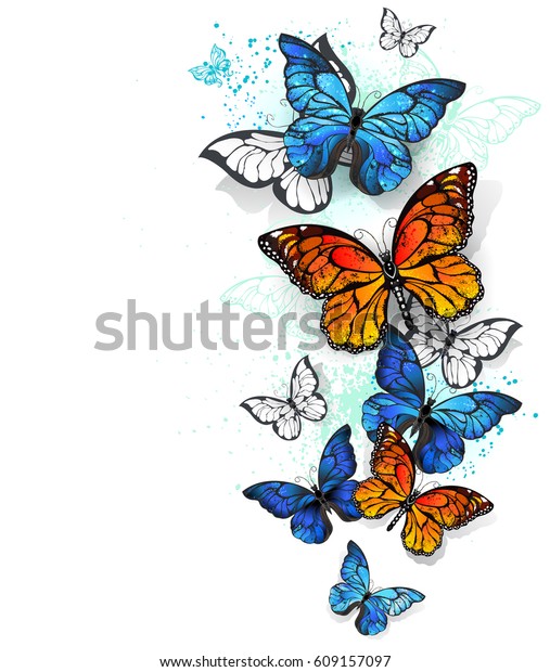 白い背景に飛ぶ 明るい 青のモルフォとオレンジの蝶 のイラスト素材