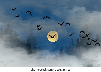 2,194 Flying south for winter Images, Stock Photos & Vectors | Shutterstock