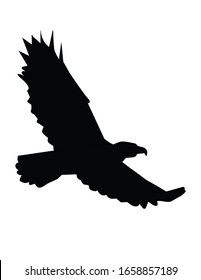 Flying eagle simple distinctive logo