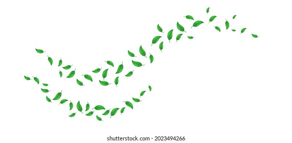 Flying green leaves. Set of waves formed by green leaves Green flying or falling off leaves. Green flying or falling off leaves. abstract foliage background, motion blur image