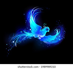 Flying, Light Bird From Blue Flame With Stars On Black Background. Phoenix.