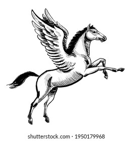 Flying Pegasus Horse. Ink Black And White Drawing