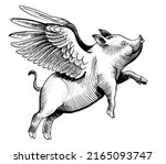 Flying pig. Ink black and white drawing