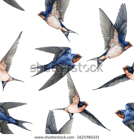 Flying swallow birds seamless pattern element. Watercolor illustration. Cute barn swallow various poses with spread wings on white background. Wildlife flying martin birds vintage style decoration