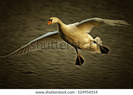 Similar – Weisser Schwan vor dunklem Hintergrund im Landeanflug