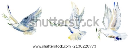 Flying white dove and olive branch watercolor illustration. Symbol of peace. white Pigeon isolated on white 