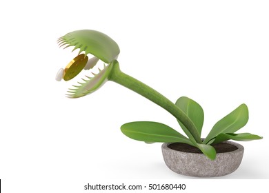 Flytrap and flying gold