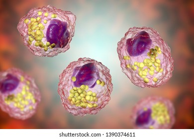 122 Lipid coating Images, Stock Photos & Vectors | Shutterstock