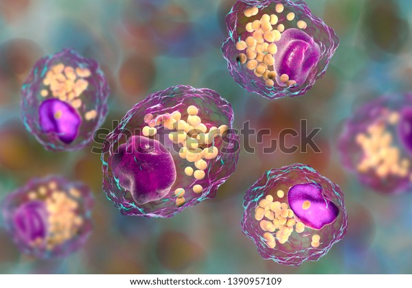 327 Lipid Droplet Images, Stock Photos & Vectors | Shutterstock