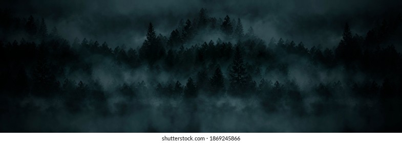 Foggy dark forest. Night view, fog, smog. Wild forest nature, forest landscape, moonlight reflection in water, landscape. Abstract fantasy forest with a river. 3D illustration