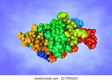 Fold Of The Core Binding Factor Alpha. Space-filling Molecular Model On Blue Background. Rendering Based On Protein Data Bank Entry 1co1. Rainbow Coloring From N To C. 3d Illustration