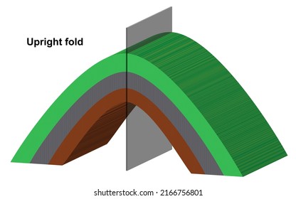 Folds Classified Into Two Main Types Stock Illustration 2166756801 ...