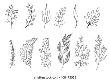 Hand Drawn Botanical Flowers Set Stock Vector (Royalty Free) 1938408556