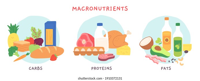 Food Macronutrients. Fat, Carbohydrate And Protein Foods Groups With Fruits And Dairy Products. Nutrient Complex Diet  Infographic. Illustration Eating Ingredient, Grocery Nutrition For Cooking