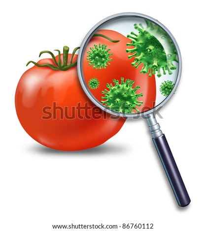 Food safety and inspection symbol with a magnifying glass looking closely at a virus bacterial infection on a tomato for dangers of produce contamination and the health concerns for human consumption. Stock photo © 