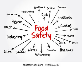 Food Safety Mind Map Concept Presentations Stock Illustration ...