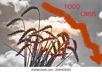 Food Supply Crisis. Problems With The Supply Of Wheat And Flour. Global Food Crisis.The Threat Of Hunger To The Whole World.Ukraine's War On Russia.