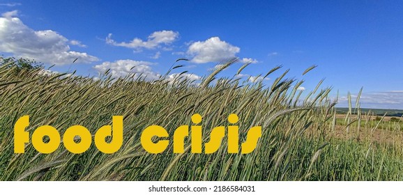 Food Supply Crisis. Problems With The Supply Of Wheat And Flour. Global Food Crisis.The Threat Of Hunger To The Whole World.Ukraine's War On Russia.