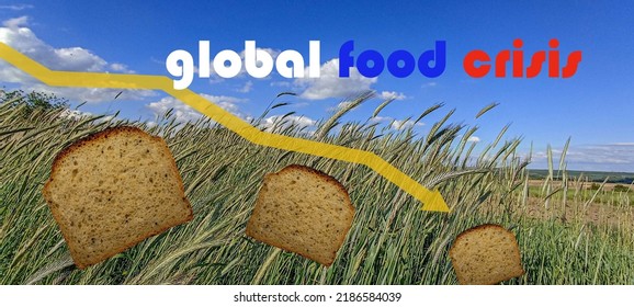 1,620 Global Food Security Images, Stock Photos & Vectors | Shutterstock