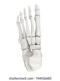 302 Forefoot Pain Images, Stock Photos & Vectors | Shutterstock