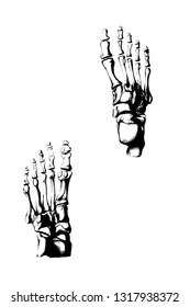 foot bones illustration pattern, t shirt design collection, foot skeleton, anatomy, anatomical, chalk drawing, hand draw of foot 