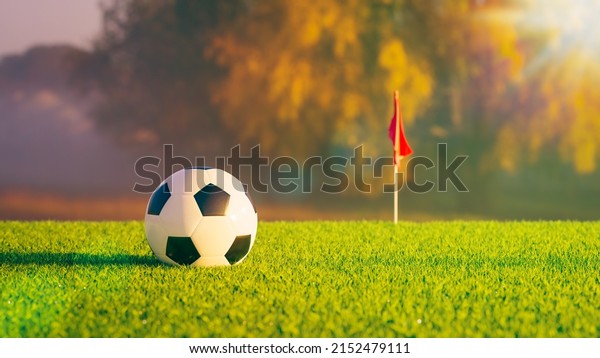 Football Soccer ball on fresh cut grass outdoor\
sports football fans concept relaxing chilling in nature final\
tournament concept 3d\
rendering
