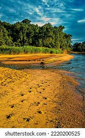 Footprints In Sand, Chesapeake Bay Shoreline, Illustration 