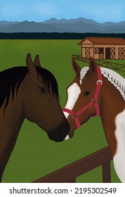 Forbidden Love Of A Mustang And A Domestic Mare