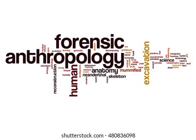 Forensic Anthropology Word Cloud Concept