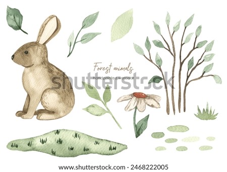 Forest animals, hare, grass, leaves, bushes, chamomile, plants for baby cards and baby showers Watercolor set 