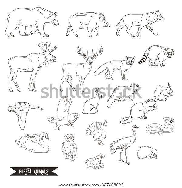 Forest Animals Silhouettes Vintage Illustration Line Stock Illustration ...