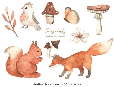 Forest animals, squirrel, fox, grass, leaves, mushrooms, flower, butterfly, bird, plants for baby cards and baby showers Watercolor set 