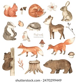 Forest animals, squirrel, fox, hare, bear, badger, hedgehog, mushrooms, flower, butterfly, bird, plants for baby cards and baby showers Watercolor set 