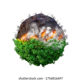 Forest fire. Half burned forest on a planet. 3d illustration
