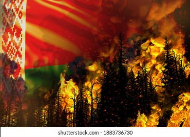 山火事 のイラスト素材 画像 ベクター画像 Shutterstock